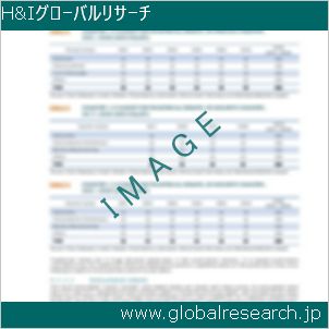 グローバルリサーチ調査レポートのイメージ